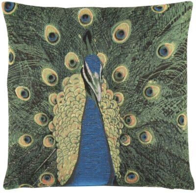 Peacock Pillow Cover