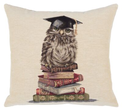 Library Owl Pillow Cover