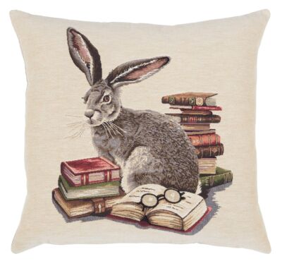 Library Hare Pillow Cover