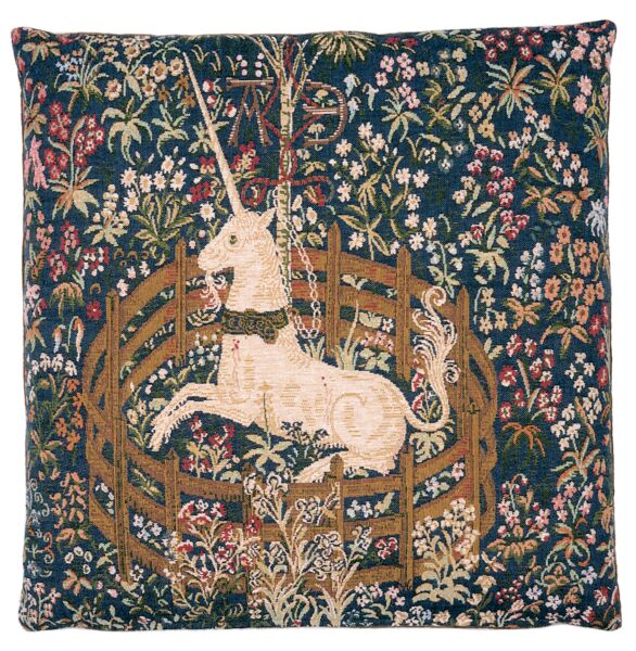 Captive Unicorn Pillow Cover